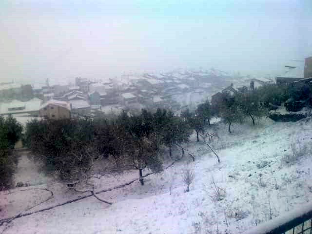 [P100110_14.230002.JPG]