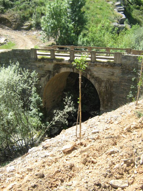 [Ponte+do+Candedo.JPG]