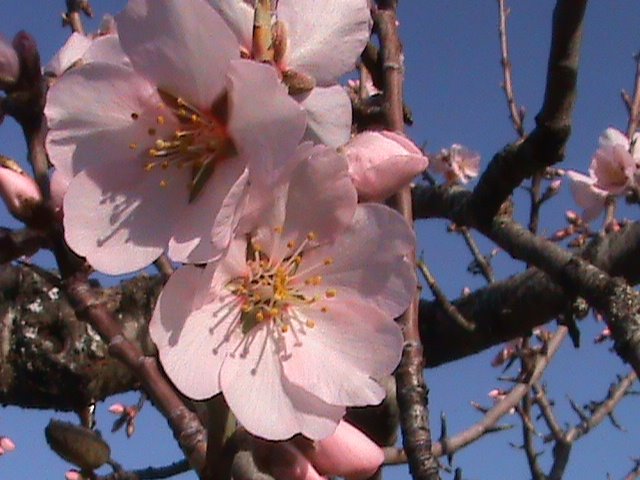 [DSC00240.JPG]