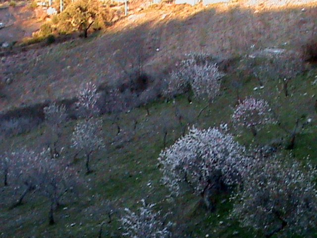 [DSC00231.JPG]