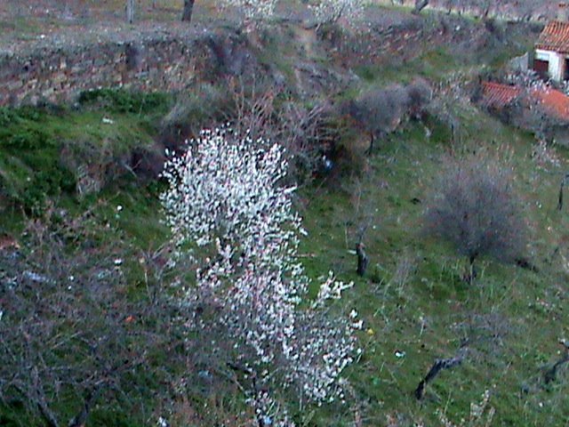 [DSC00232.JPG]