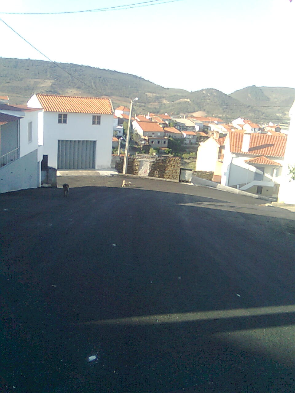 [Imagem0520.jpg]
