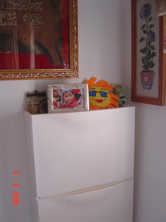 [4+eog+006+(Large).jpg]