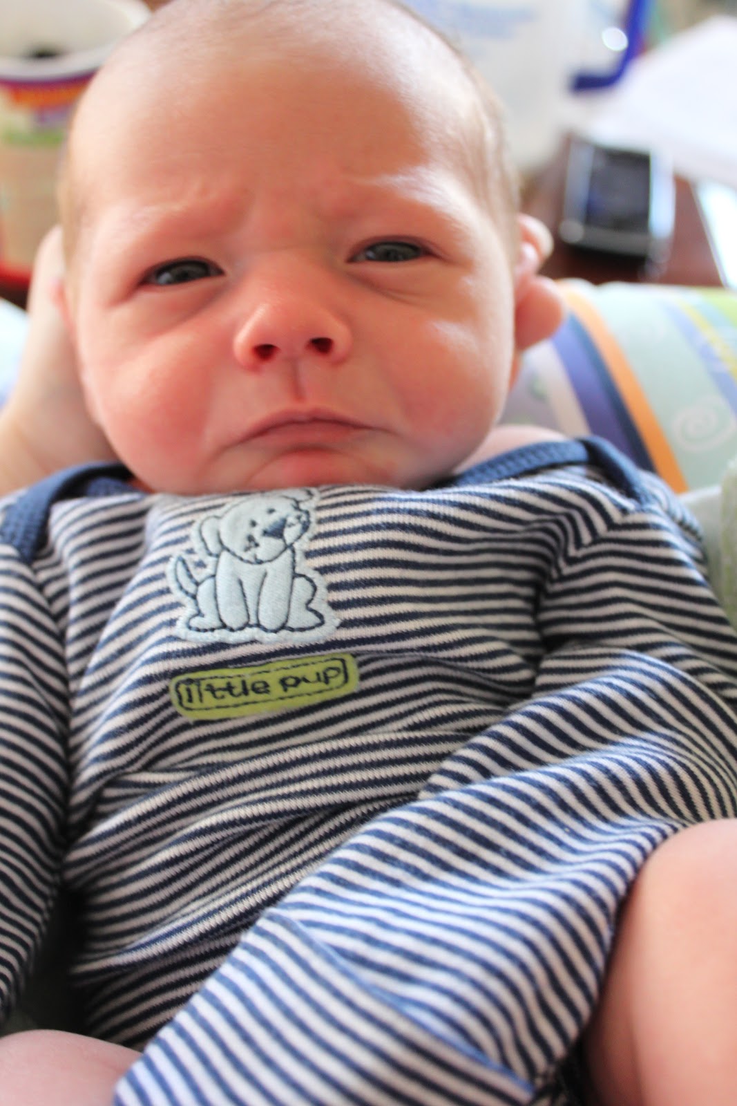 All Things Icky My Thoughts Uninterrupted