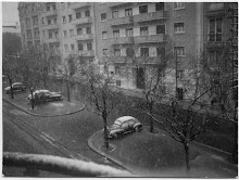neve em lisboa 1954