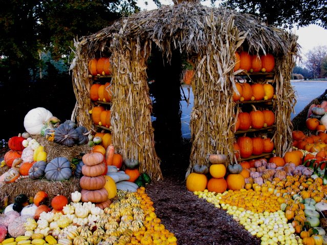 [Pumpkin+House+2+sm.jpg]