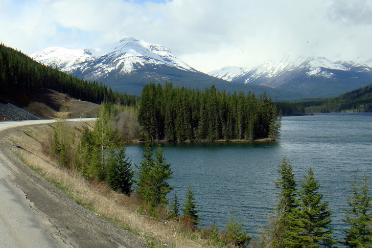 Banff, Alberta - Scene While Driving