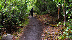 Jerry Walking Ahead of Me on Path to Exit Glacier