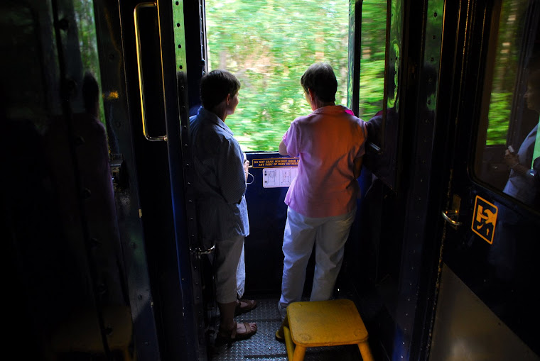 Standing Behind Train Car Experiencing the Outdoors