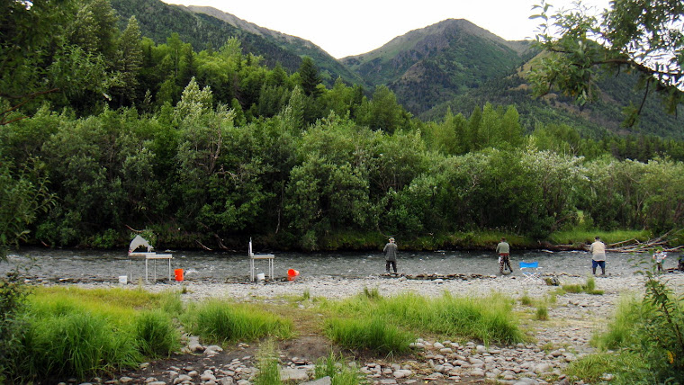 Picture Taken Behind Our RV at Hope, Alaska