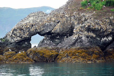 Seldovia Alaska