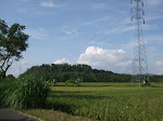 Dasanama sunu
