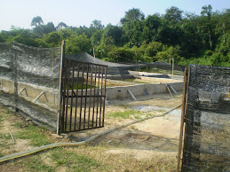 Pandangan Kolam Lintah