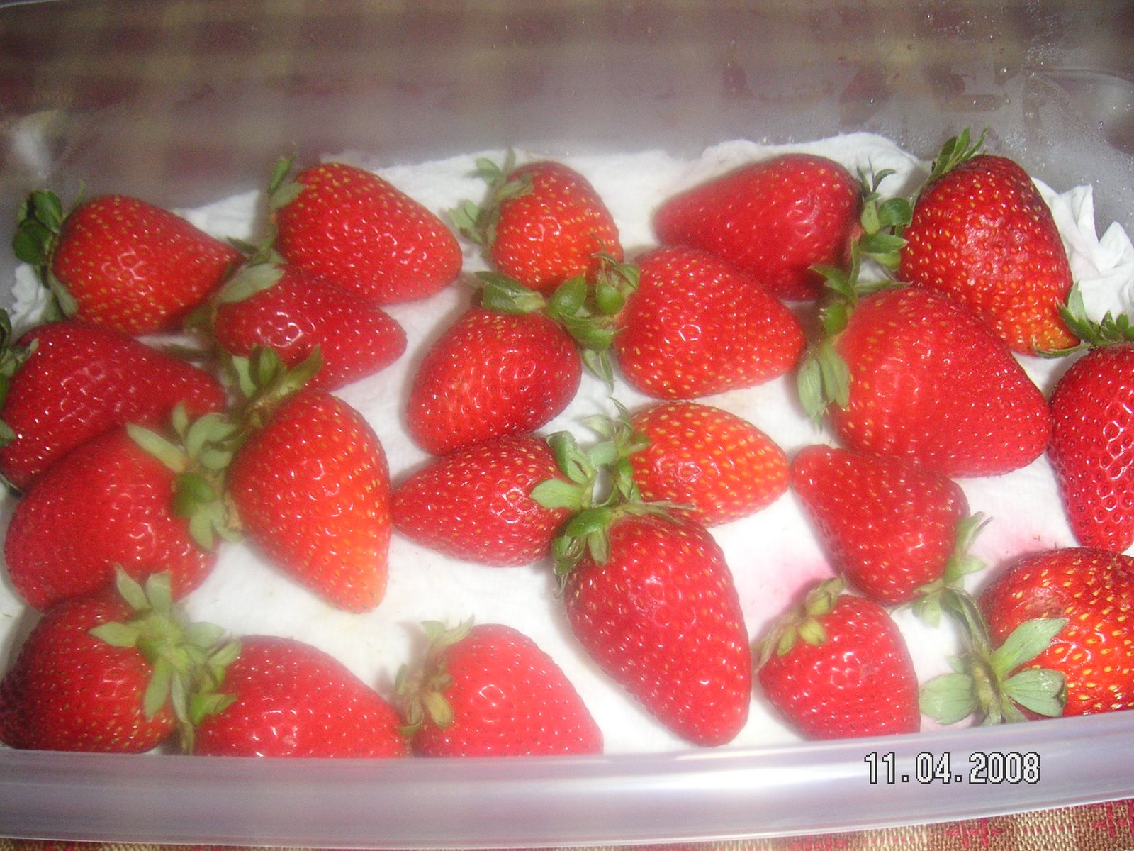 [PICT0002.JPG]