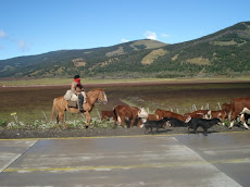 ARRIEROS DE PUERTO NATALES