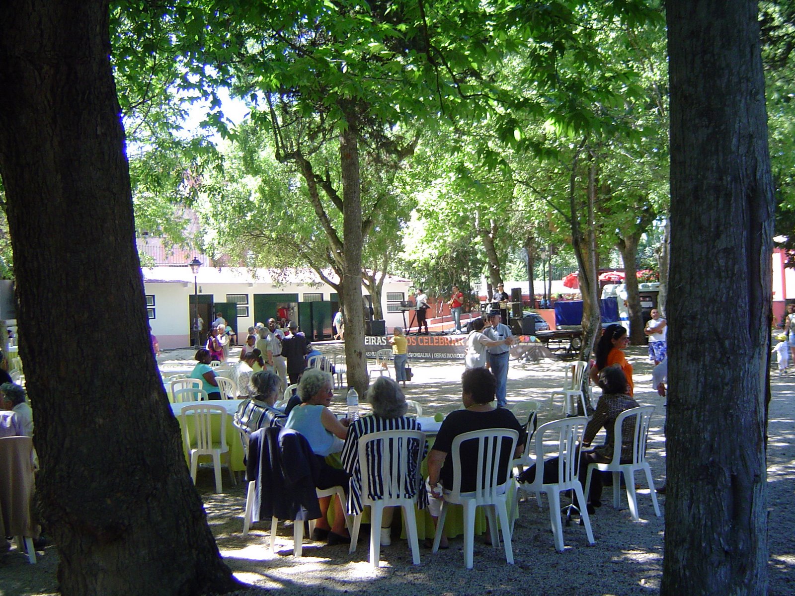 [DSC02374.JPG]