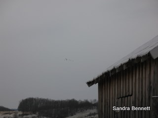 [IMG_9751.JPG]