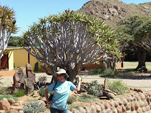 Quiver tree at Namtib
