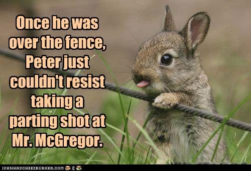[funny-pictures-rabbit-sticks-his-tongue-out.jpg]