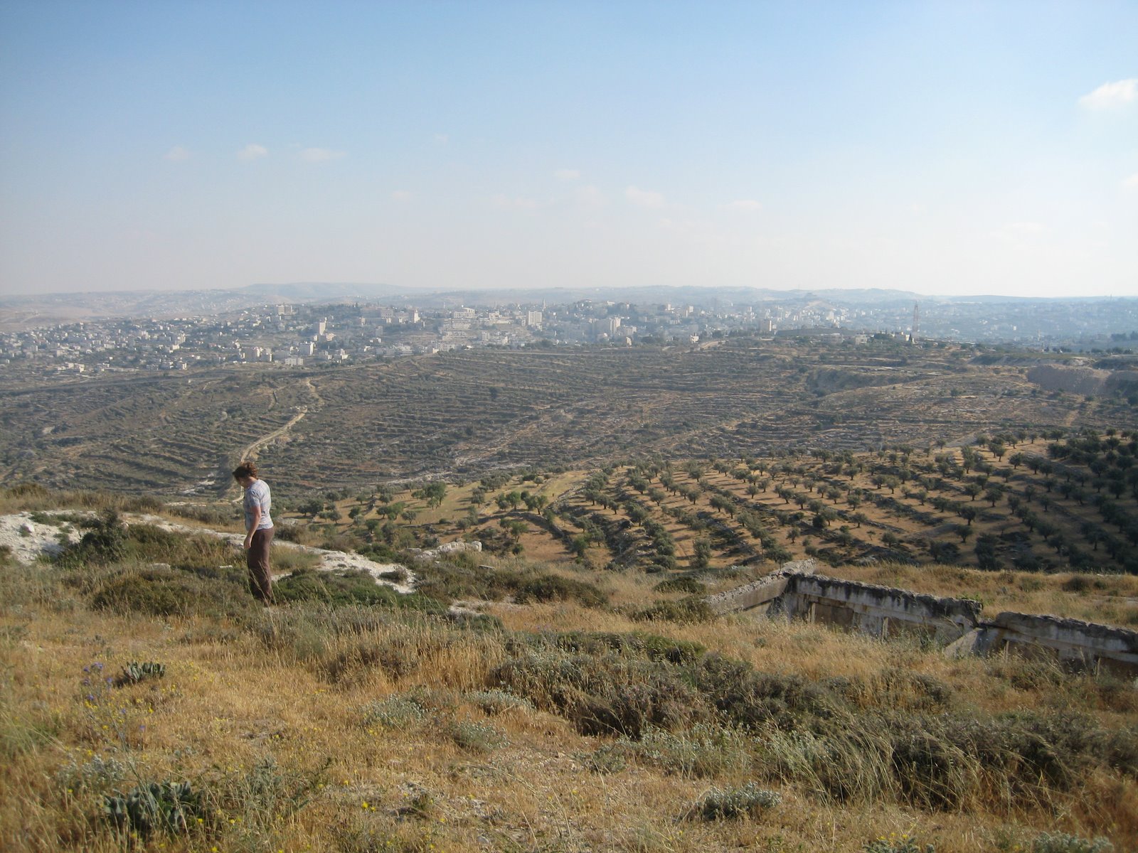 [IMG_0316.JPG]