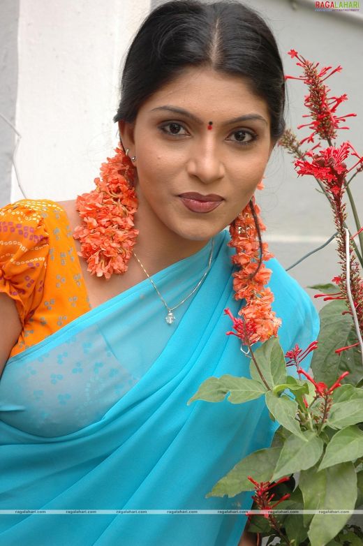 [692534_f520.jpg]