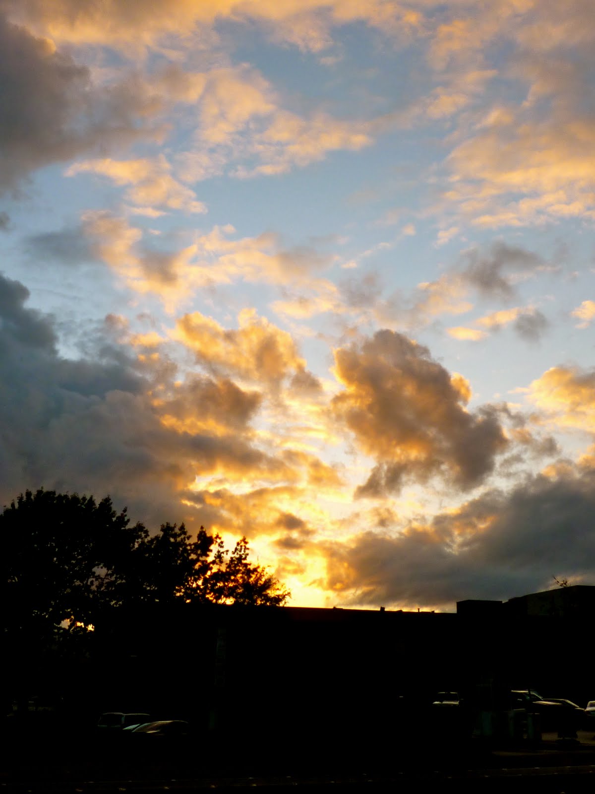 Cool Sky