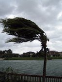 [hurricane1.jpg]