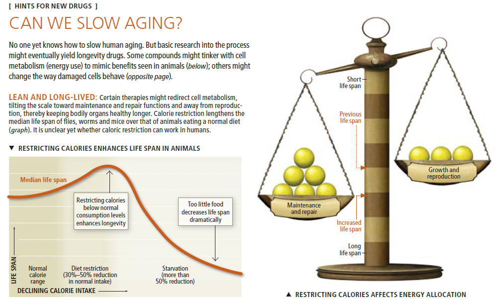 ScienceHealthyLongLife by Crabsallover Why can't we live forever by