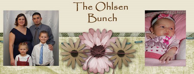 The Ohlsen Bunch