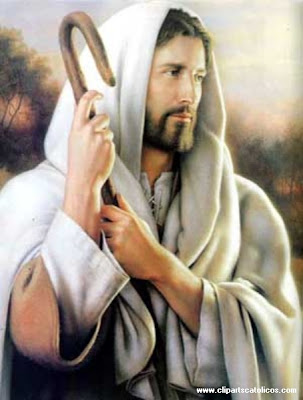 imagenes imagenes