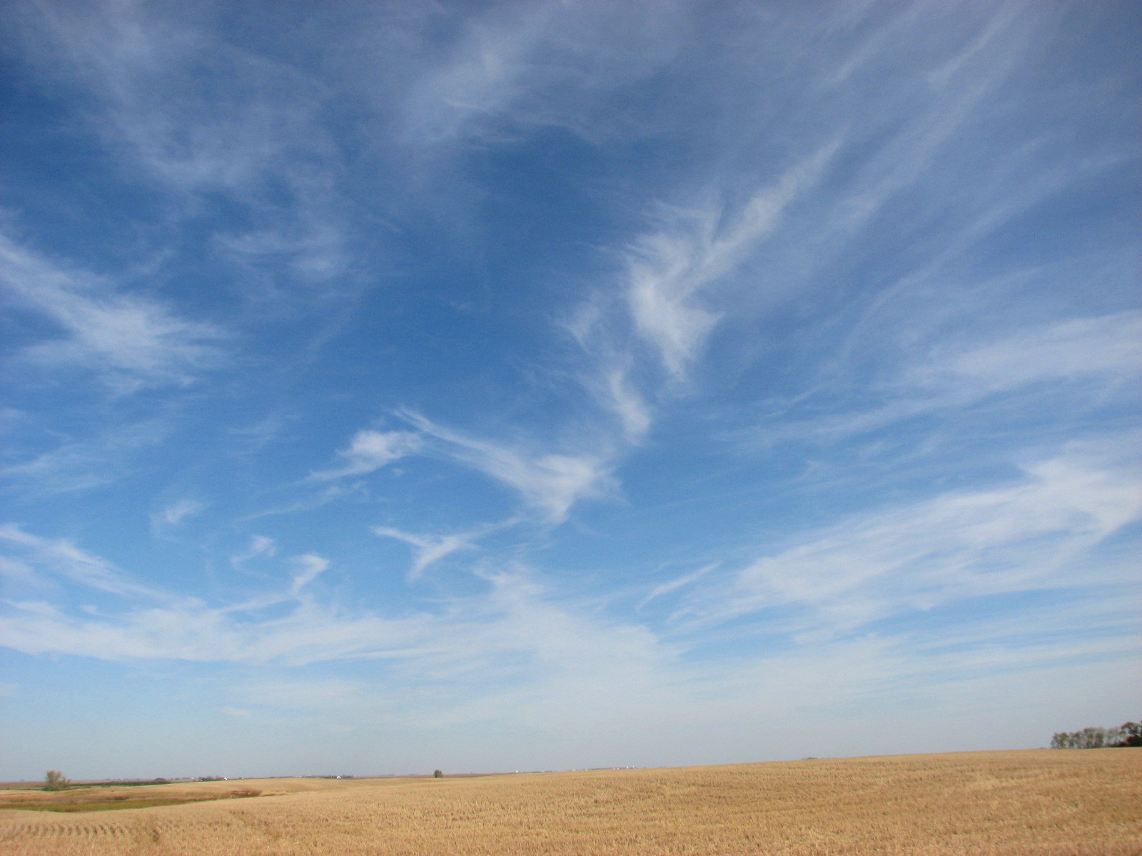 Best biographies of all time image