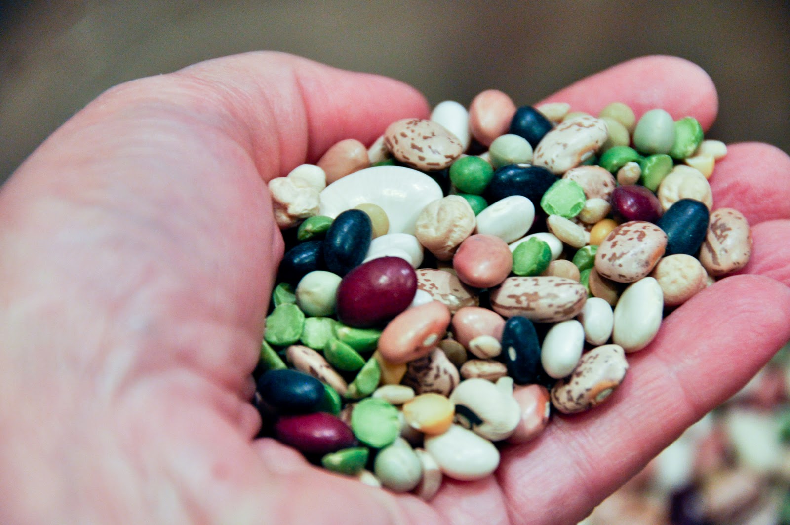 FEAST EVERYDAY 16 Bean Soup with Smoked Ham