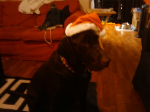 [2009-12-24+18.18.25-797293.jpeg]