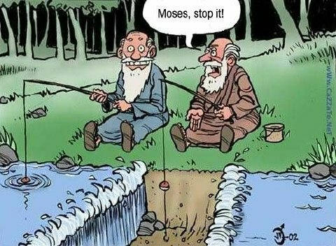 Humor Quotes