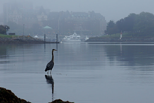 vivastreet blois rencontre