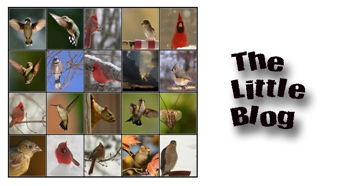 THE LITTLE BLOG