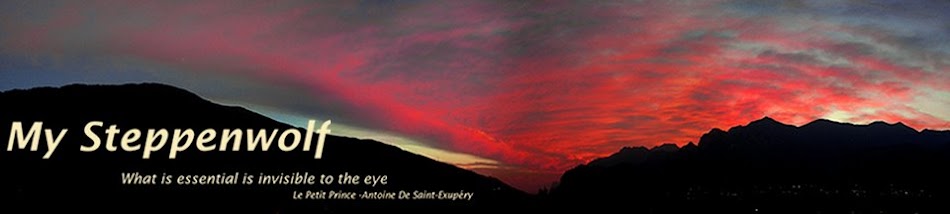 My Steppenwolf