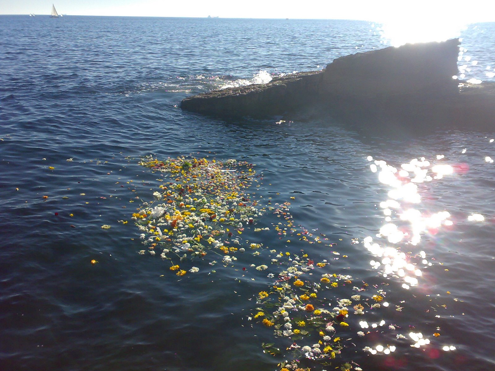 [16112008220.jpg]