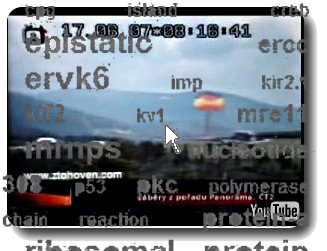 NOW AVAILABLE NEW & COOL SPECIALISTS IN ESTATE LIQUIDATION results only: Please This is the song Marsh Sovetskikh Tankistov (march of the Soviet tankist)