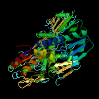 PDB Structure 2IHC
