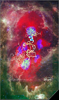 Detects a band of approximately 50 kDa (predicted molecular weight: 30 kDa)