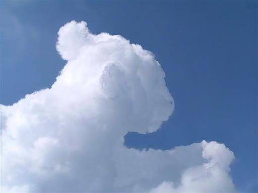 cool+lamb+cloud.jpg