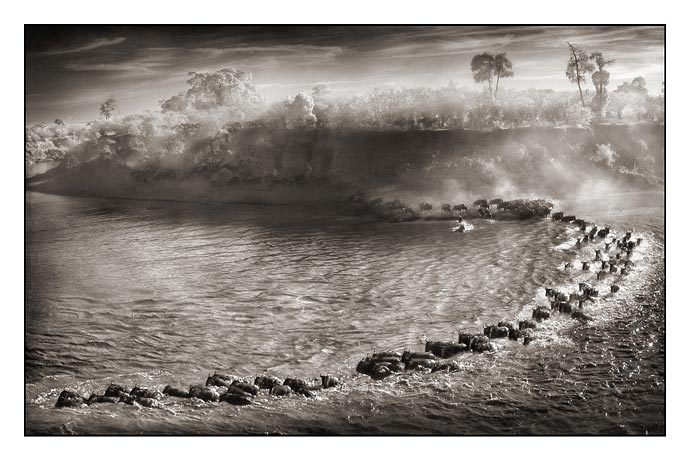 Nick Brandt Creative Wildlife Photography Seen On www.coolpicturegallery.us Nick Brandt Creative Wildlife Photography Seen On www.coolpicturegallery.us