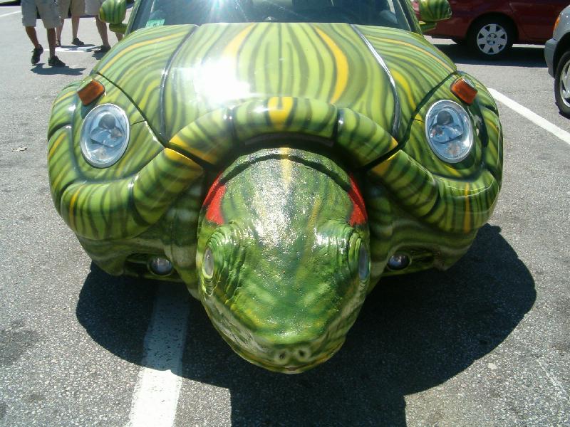 [cool-turtle-car.jpg]