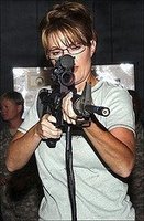 [Palin_shooter.jpg]