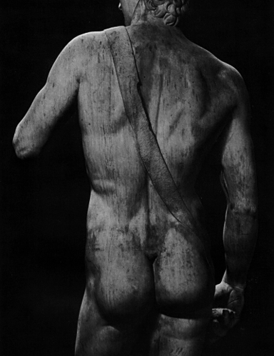 [david_torso_back.gif]