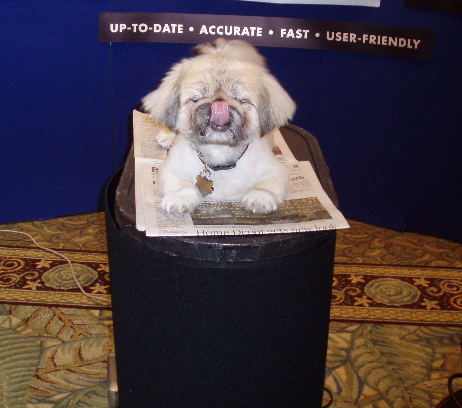 [maxwithtonguecropped.jpg]