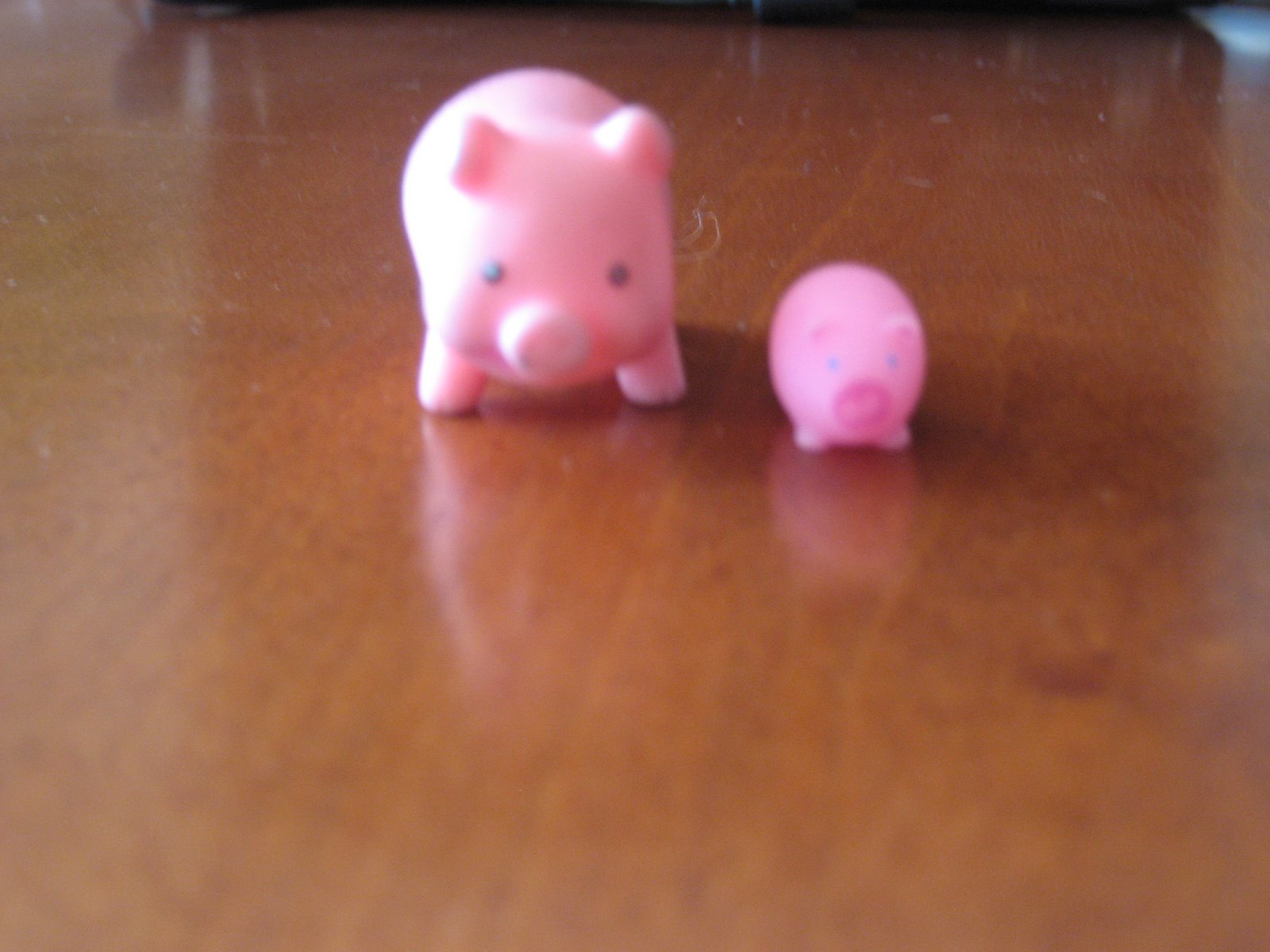 [20080501_0354.JPG]