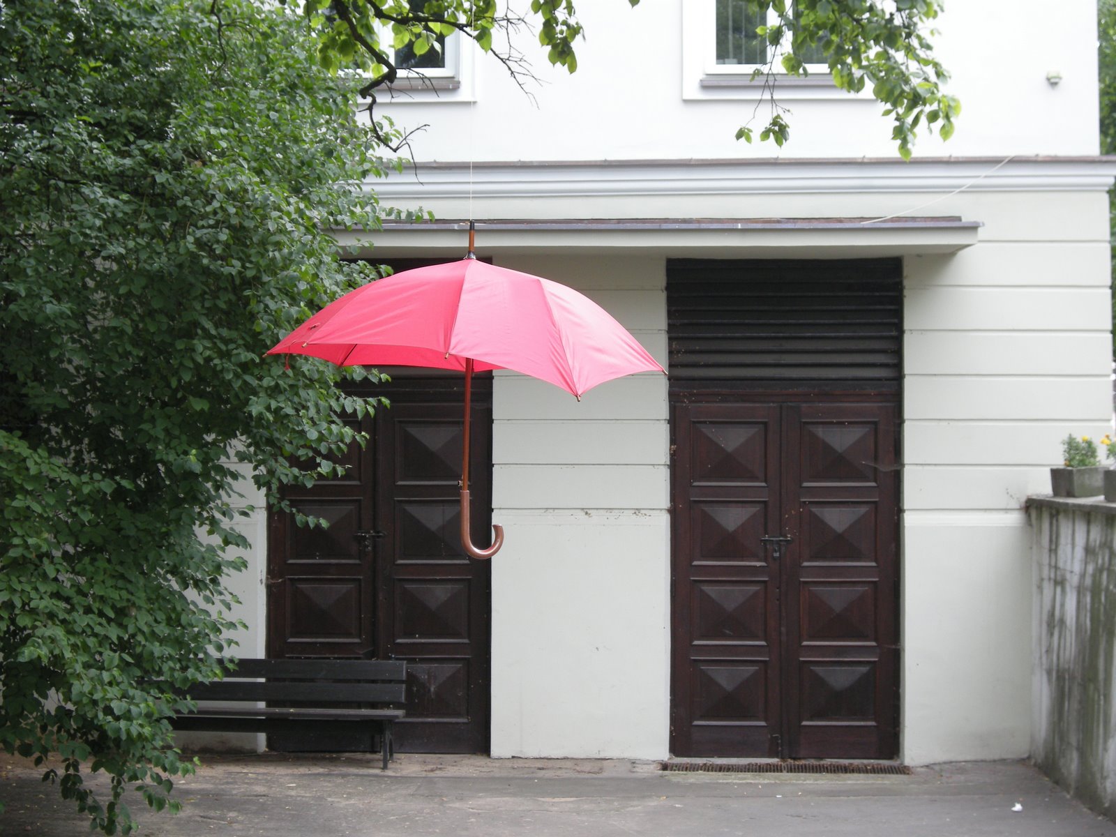 [ella+ella+ella.jpg]