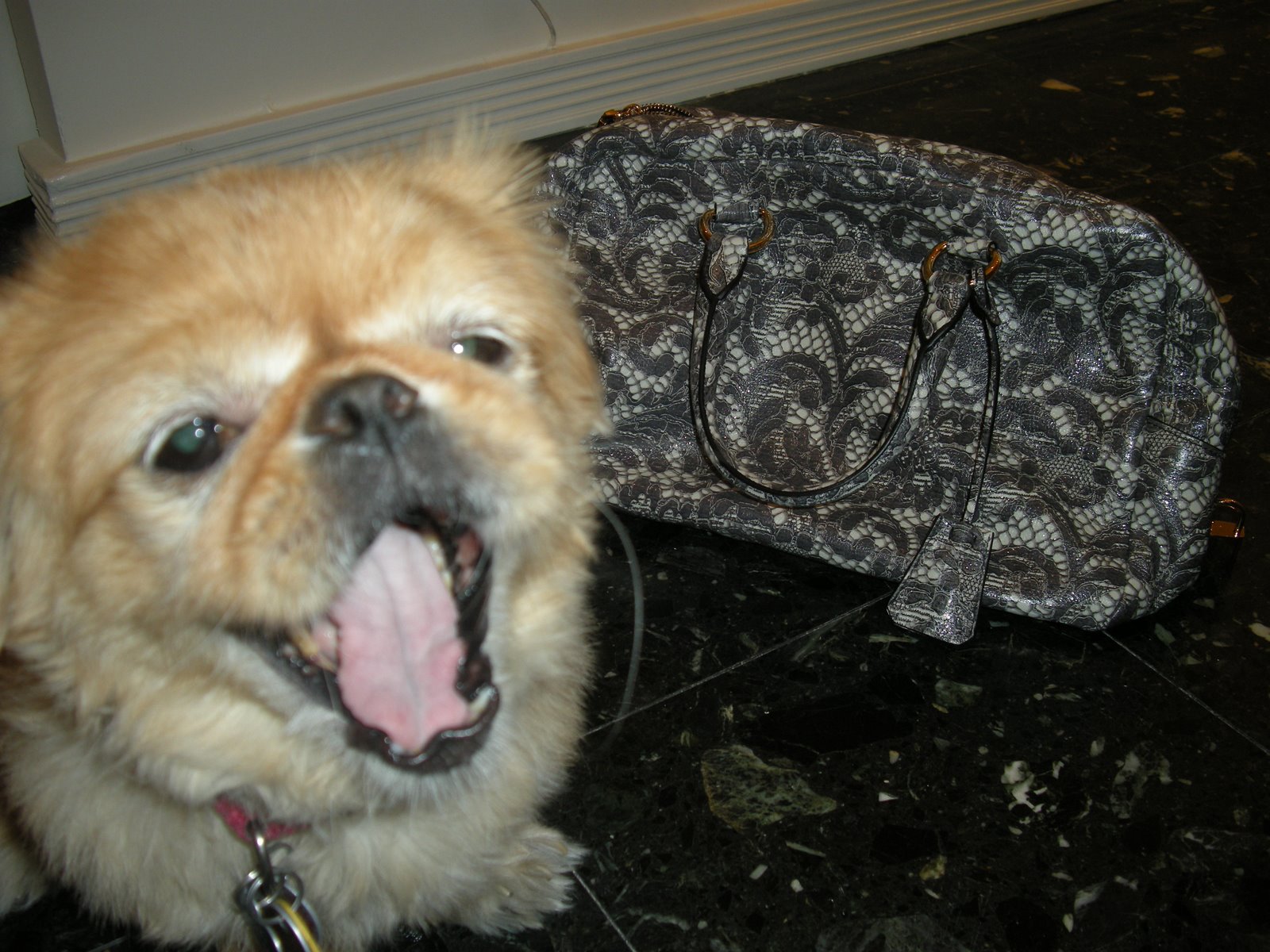 [prada+henry+yawn.jpg]